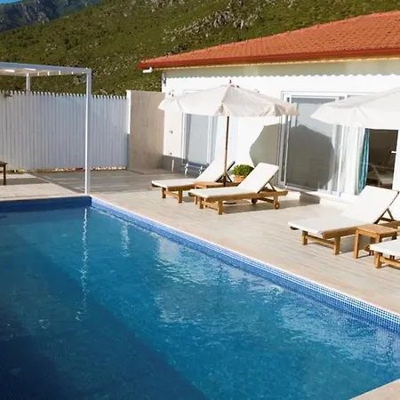 Zeytin Kalkan